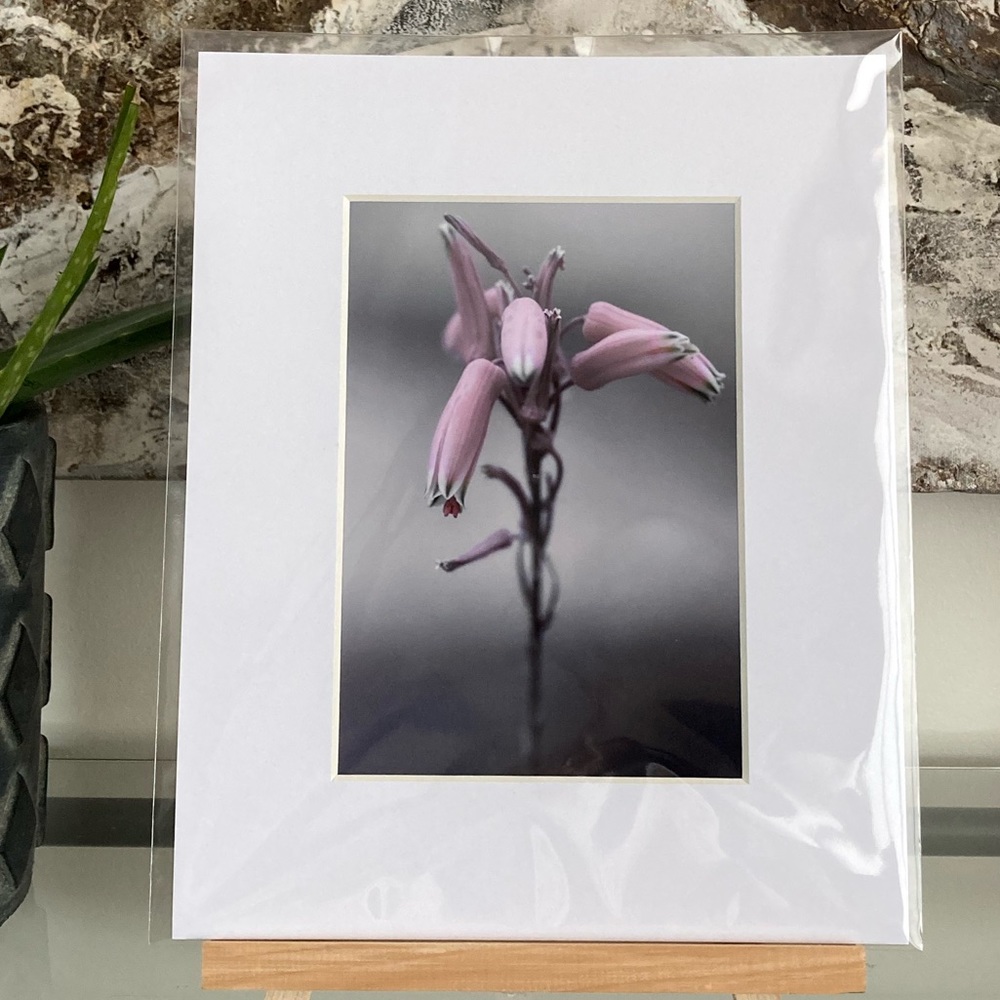 ❌SOLD❌”THIS STRANGE ISOLATION” ~ ORIGINAL ART by @lisamichellebeckerphotography - Picture 9 of 13